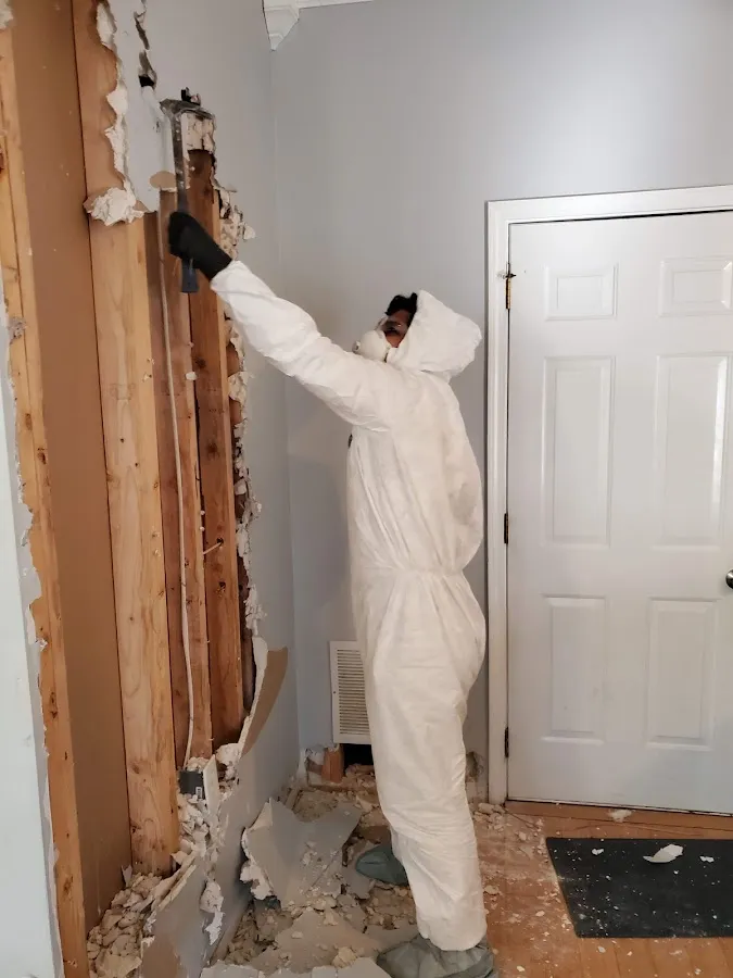 Mold Remediation & Removal in Caldwell, TX